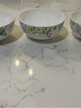 Set of 3 Mikasa White Ceramic Bowl- Tivoli Garden
